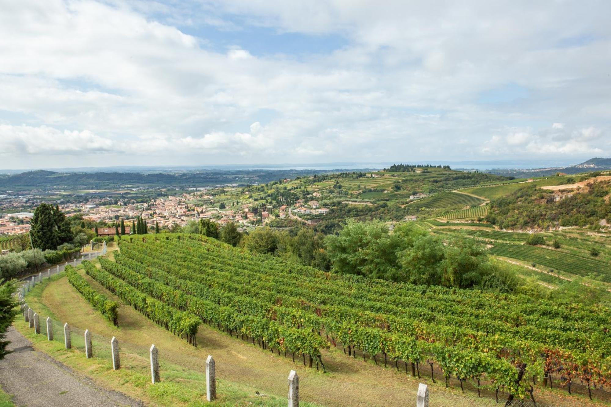 Villa San Giorgio Sant'Ambrogio di Valpolicella Ngoại thất bức ảnh